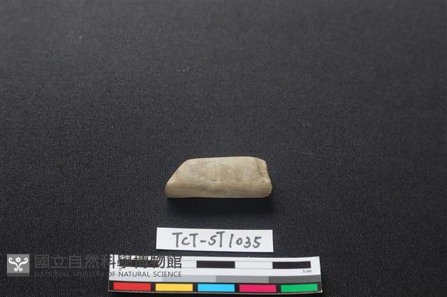 錛鑿形器藏品圖，第4張