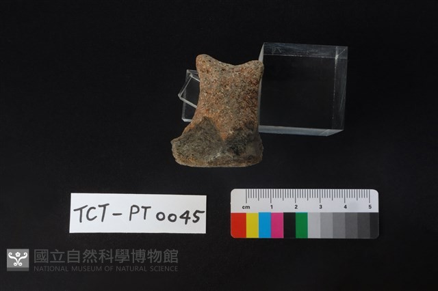陶蓋鈕藏品圖，第4張