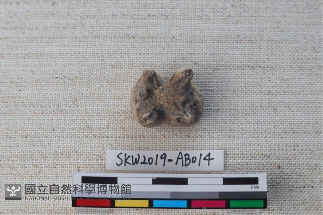 獸骨藏品圖，第4張