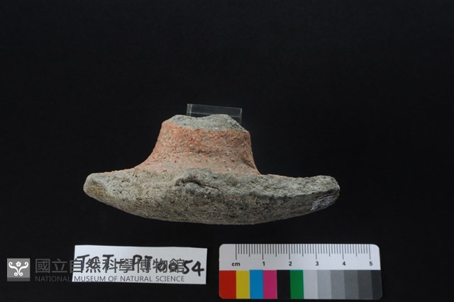 陶蓋鈕藏品圖，第4張