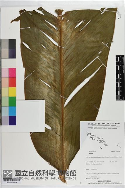 登錄號:S201369藏品圖，第4張