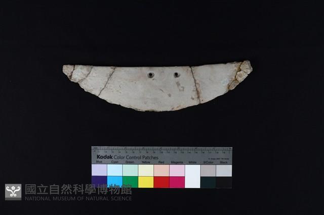 石刀藏品圖，第4張