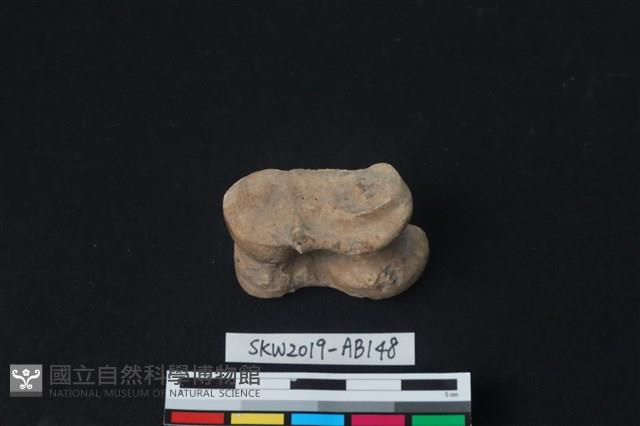 獸骨藏品圖，第4張