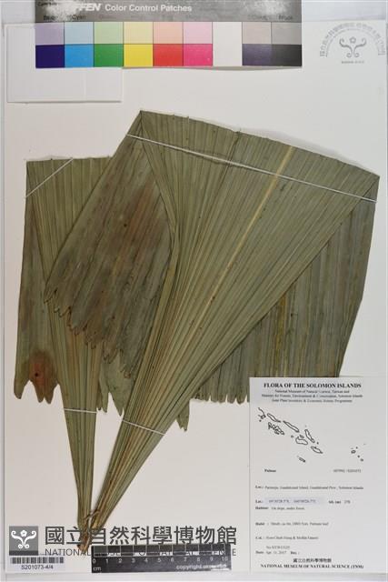 登錄號:S201073藏品圖，第4張