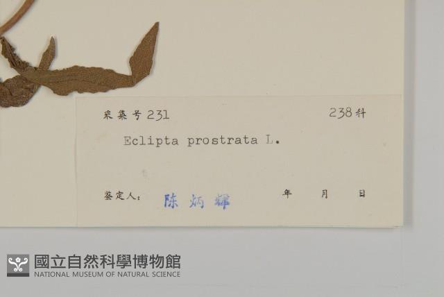 鱧腸藏品圖，第3張