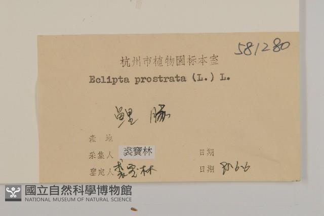 鱧腸藏品圖，第3張