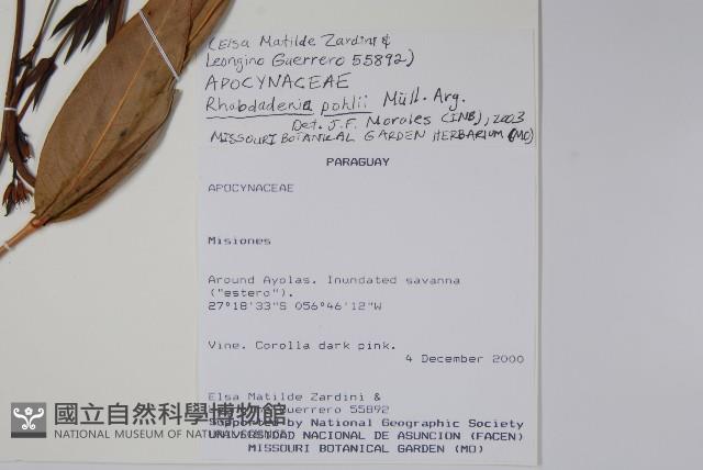 登錄號:S101059藏品圖，第4張