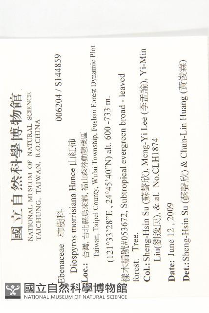 山紅柿藏品圖，第4張