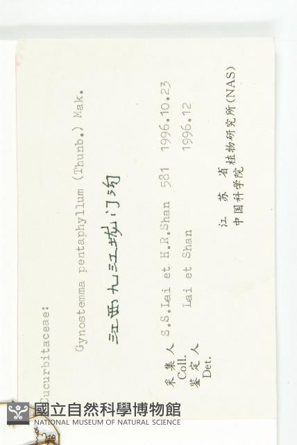 絞股藍藏品圖，第3張