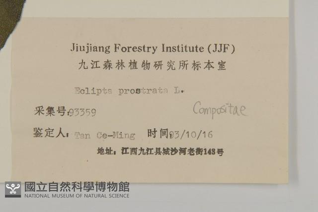 鱧腸藏品圖，第3張