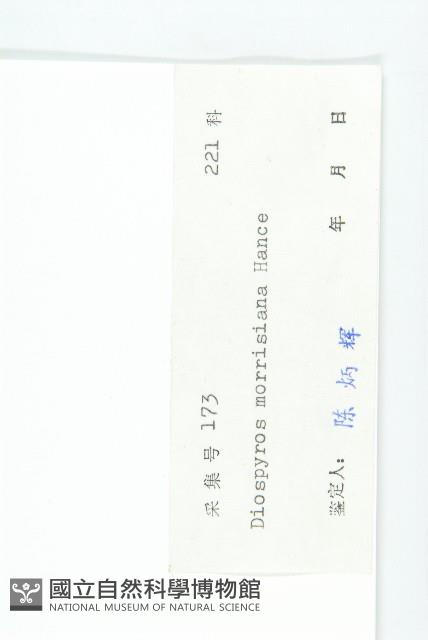 山紅柿藏品圖，第3張