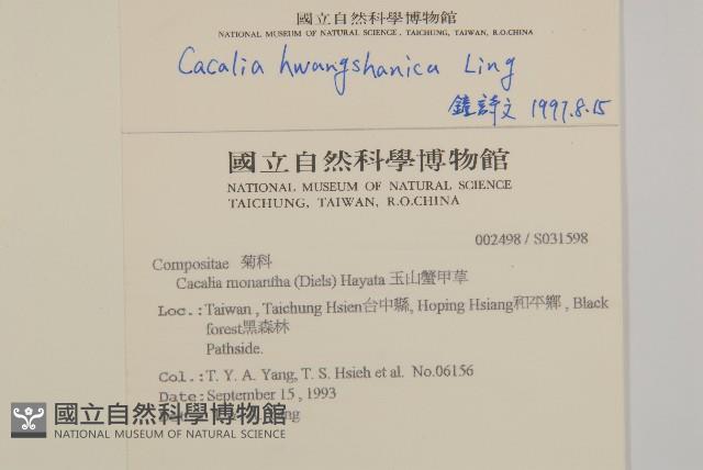 賽山藍藏品圖，第4張