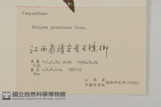 鱧腸藏品圖，第3張