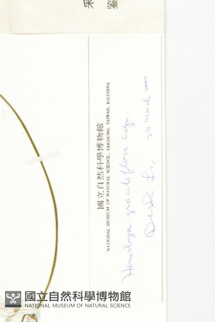 馬銅鈴藏品圖，第4張