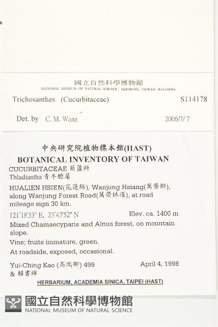 登錄號:S114178藏品圖，第4張