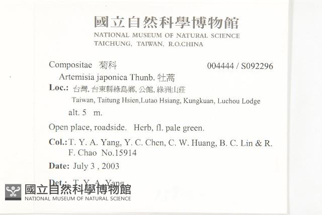 牡蒿藏品圖，第4張