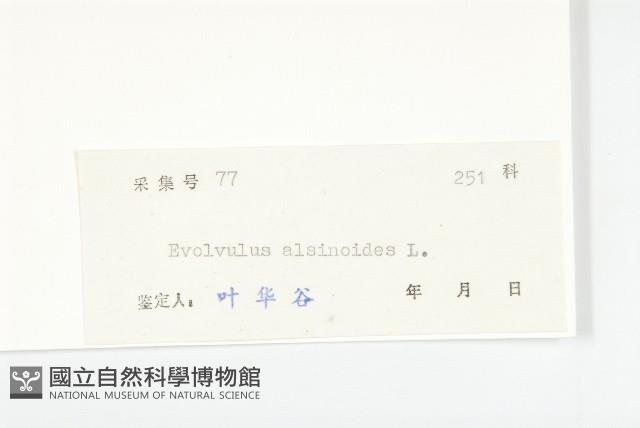 土丁桂藏品圖，第3張