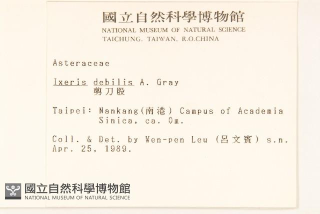 蓮子草藏品圖，第4張