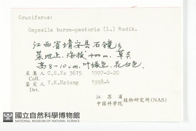 薺藏品圖，第3張