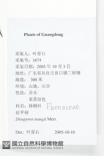 延平柿藏品圖，第4張