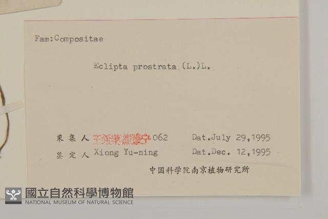 鱧腸藏品圖，第3張