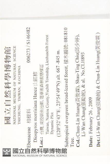 山紅柿藏品圖，第4張