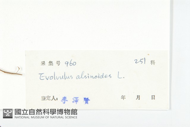 土丁桂藏品圖，第3張