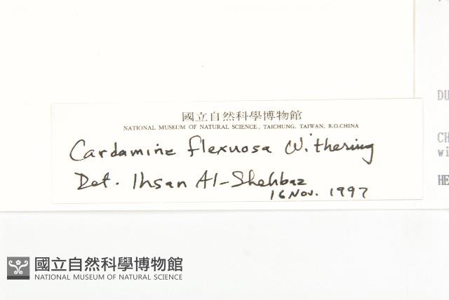 焊菜藏品圖，第3張