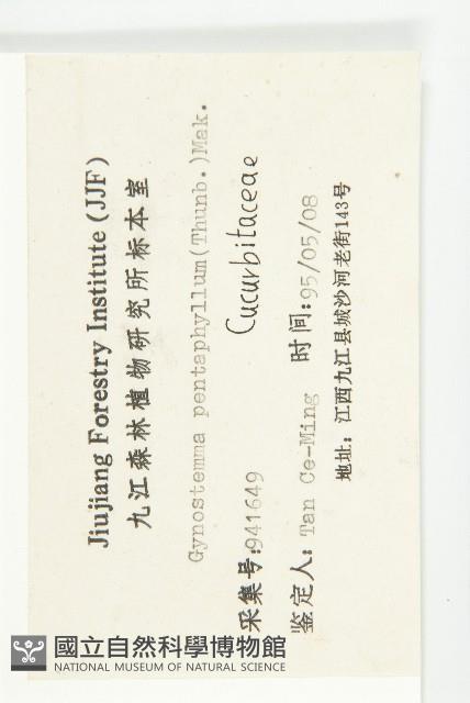 絞股藍藏品圖，第3張