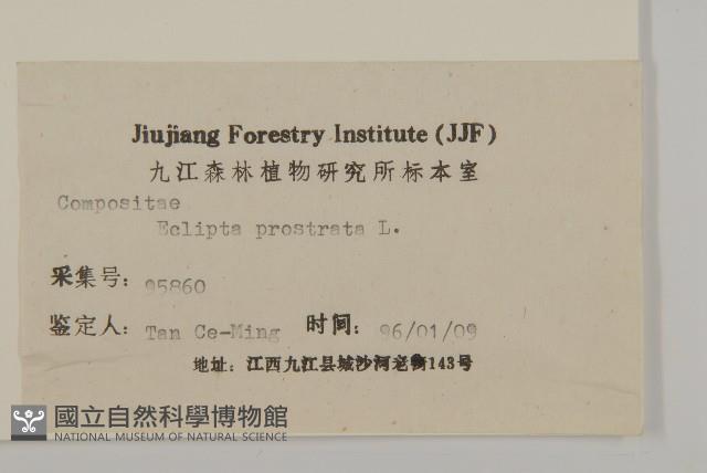 鱧腸藏品圖，第3張