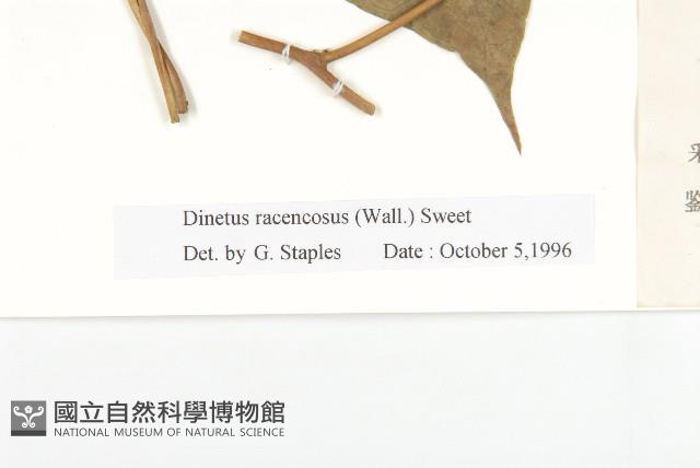 登錄號:S024940藏品圖，第4張