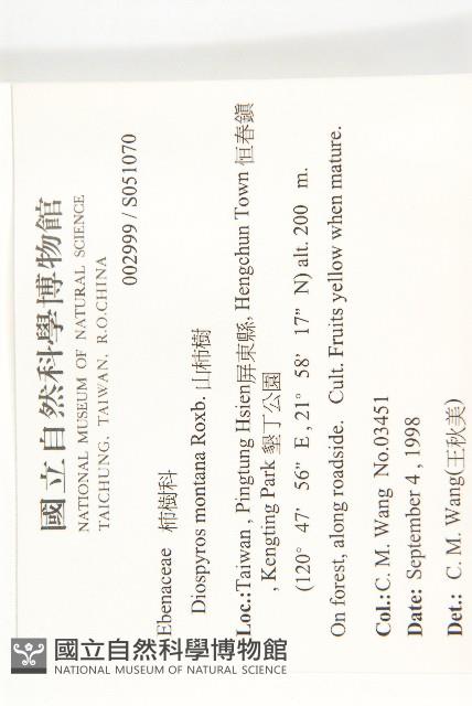 山柿樹藏品圖，第4張