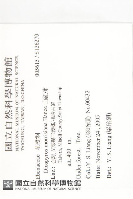 山紅柿藏品圖，第4張