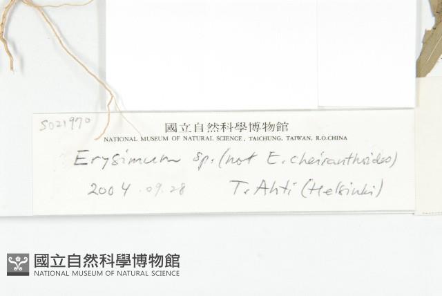 登錄號:S021970藏品圖，第4張