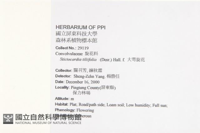 琉璃草藏品圖，第4張