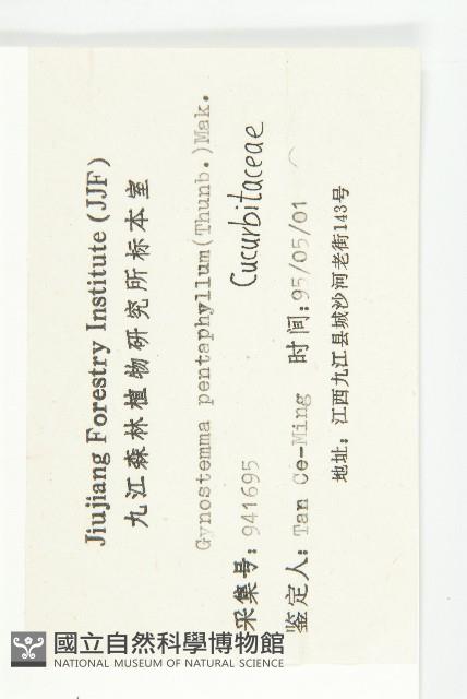 絞股藍藏品圖，第3張