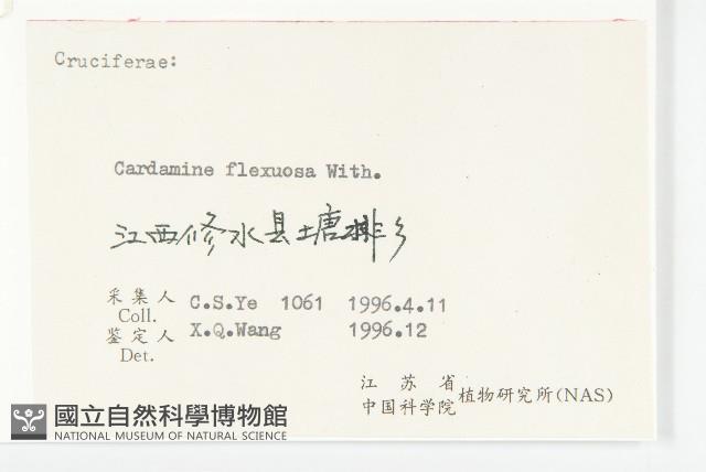 焊菜藏品圖，第3張