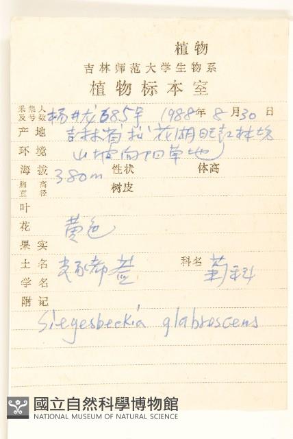 毛梗豨薟藏品圖，第4張