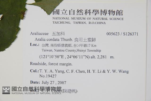 食用土當歸藏品圖，第4張