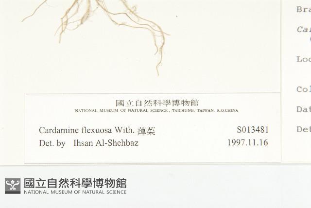 焊菜藏品圖，第3張