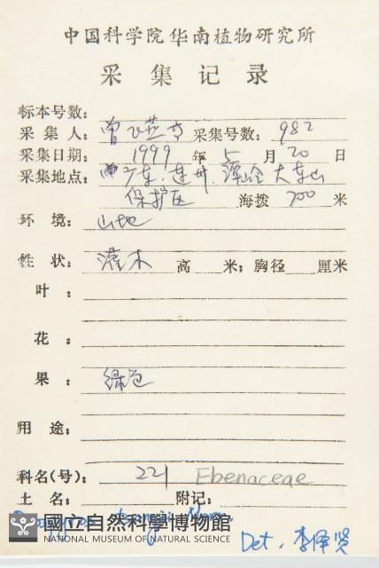 延平柿藏品圖，第4張