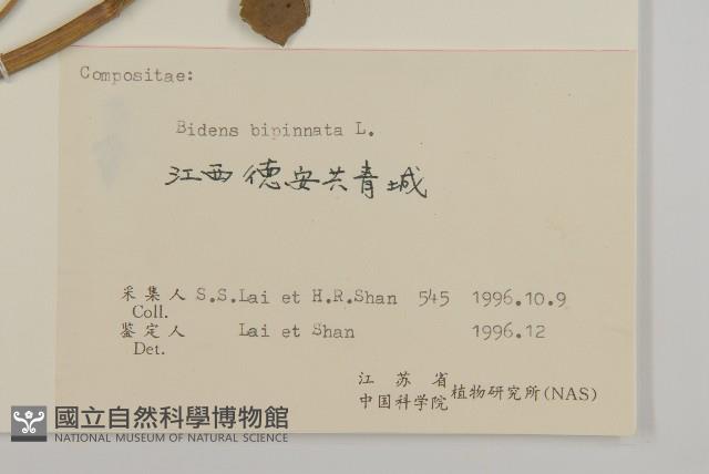 鬼針藏品圖，第3張