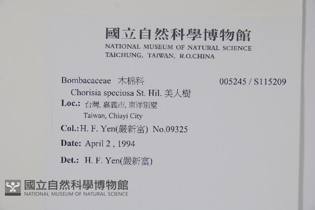 美人樹藏品圖，第4張