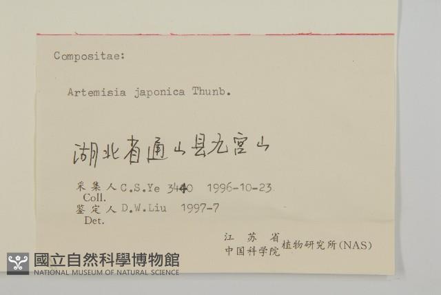 牡蒿藏品圖，第3張