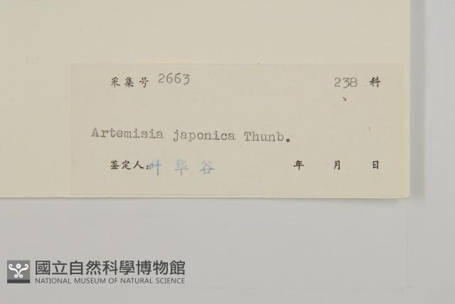 牡蒿藏品圖，第3張