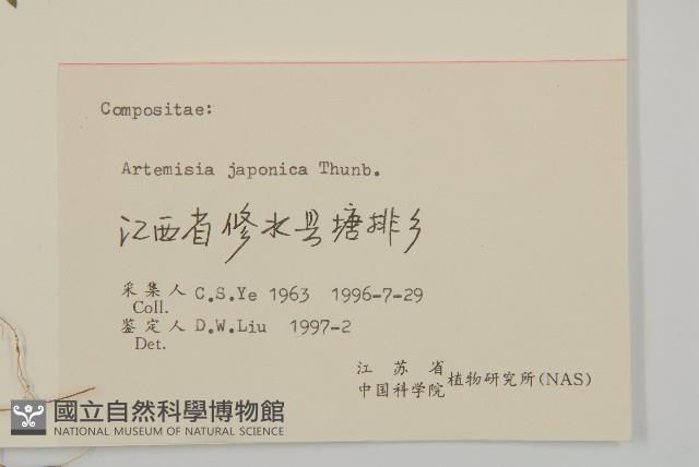 牡蒿藏品圖，第3張