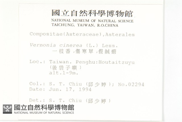 一枝香藏品圖，第4張