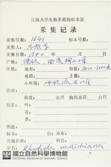 牛繁縷藏品圖，第4張