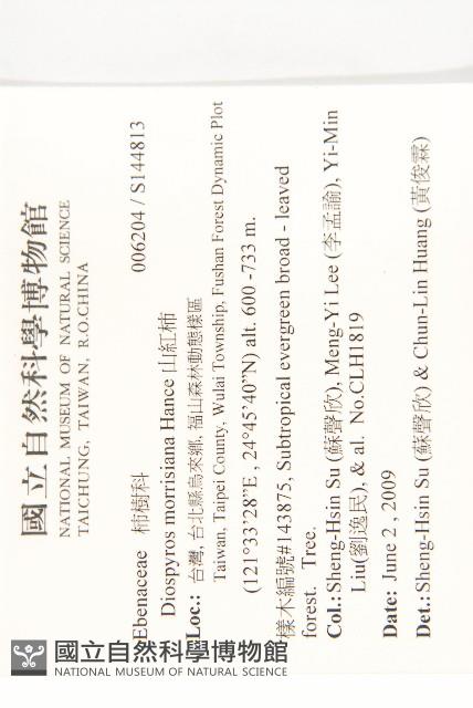 山紅柿藏品圖，第4張