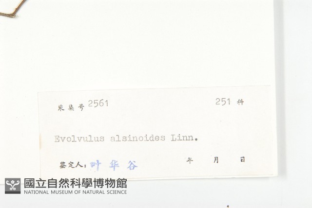 土丁桂藏品圖，第3張